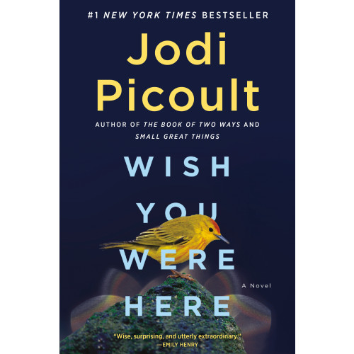 Jodi Picoult Wish You Were Here: A Novel (häftad, eng)