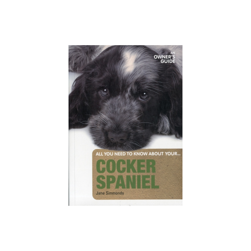 Produktbild för Cocker Spaniel (häftad, eng)