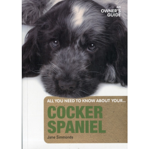 First Stone Publishing Cocker Spaniel (häftad, eng)