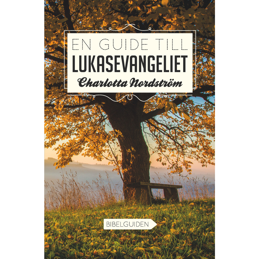 Produktbild för En guide till Lukasevangeliet (häftad)