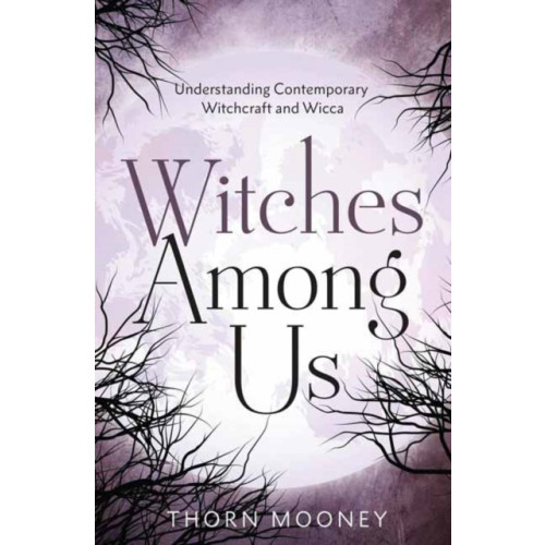 Llewellyn Publications,U.S. Witches Among Us (häftad, eng)