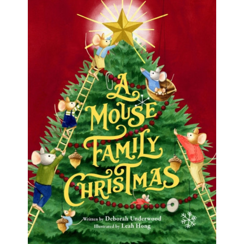 Little, Brown & Company A Mouse Family Christmas (inbunden, eng)