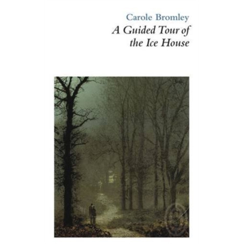Smith|Doorstop Books A Guided Tour of the Ice House (häftad, eng)