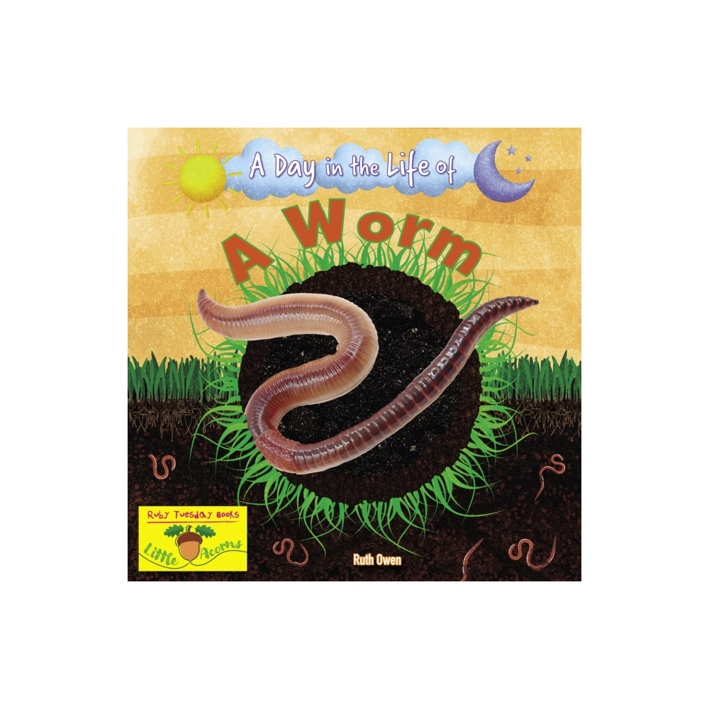 Produktbild för A Worm (häftad, eng)