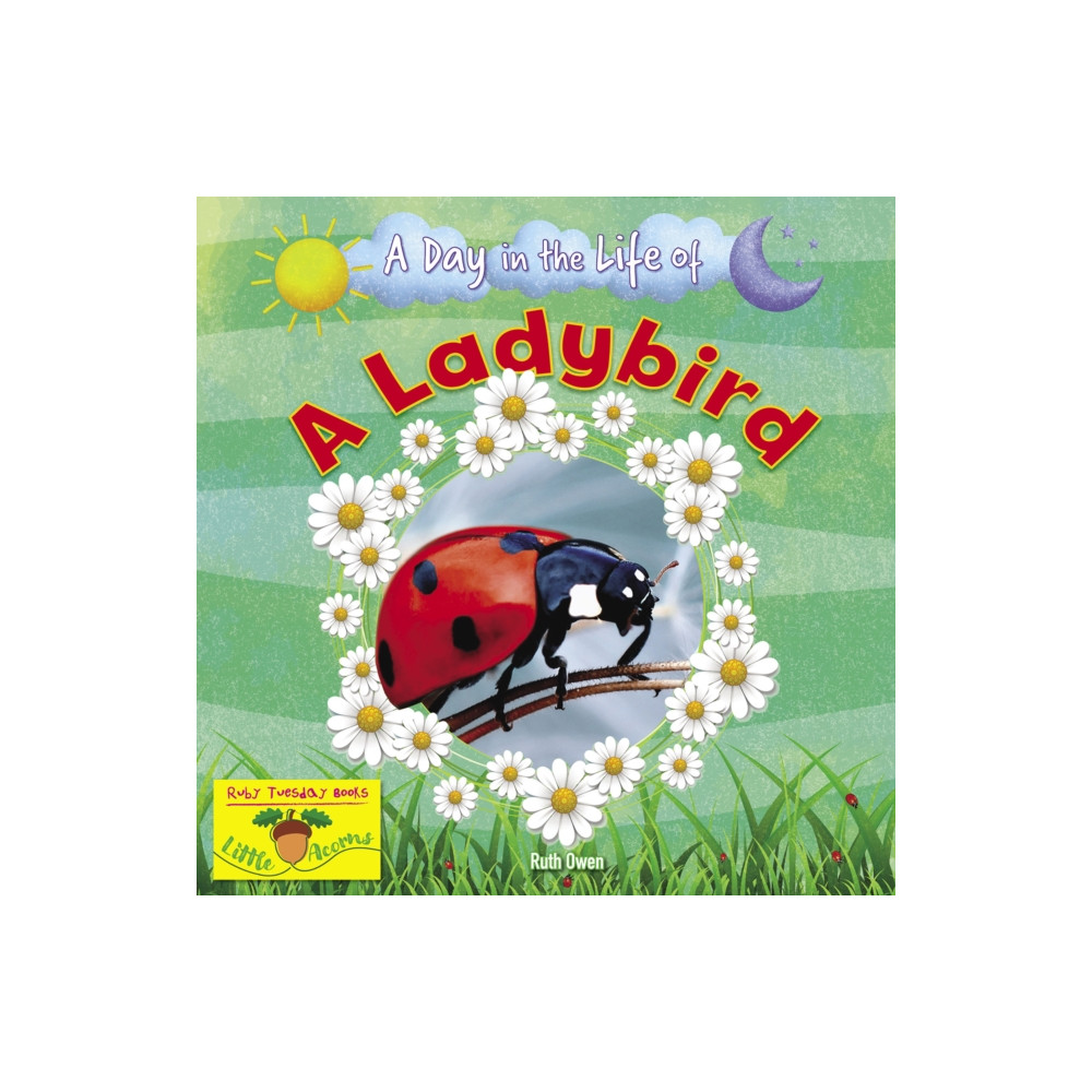 Produktbild för A Ladybird (häftad, eng)