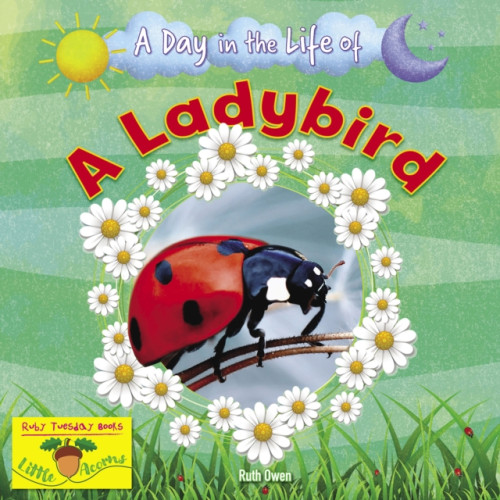 Ruby Tuesday Books Ltd A Ladybird (häftad, eng)