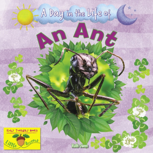 Ruby Tuesday Books Ltd An Ant (häftad, eng)