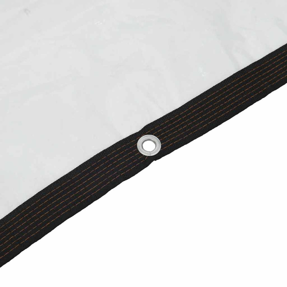 Produktbild för Klar presenning med öljetter 4x6 m polyeten
