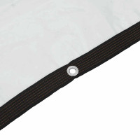 Produktbild för Klar presenning med öljetter 4x12 m polyeten