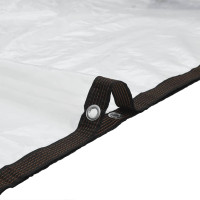 Produktbild för Klar presenning med öljetter 5x5 m polyeten