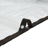 Produktbild för Klar presenning med öljetter 5x6 m polyeten