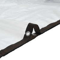 Produktbild för Klar presenning med öljetter 5x12 m polyeten