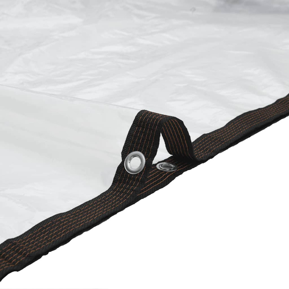Produktbild för Klar presenning med öljetter 6x10 m polyeten