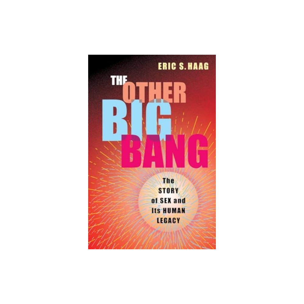 Produktbild för The Other Big Bang (inbunden, eng)