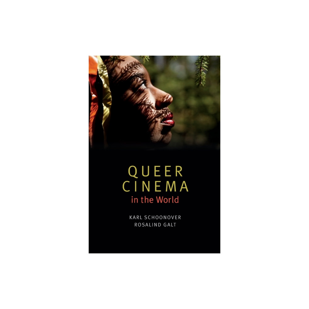 Produktbild för Queer Cinema in the World (häftad, eng)