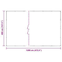 Produktbild för Klar presenning med öljetter 4x12 m PVC