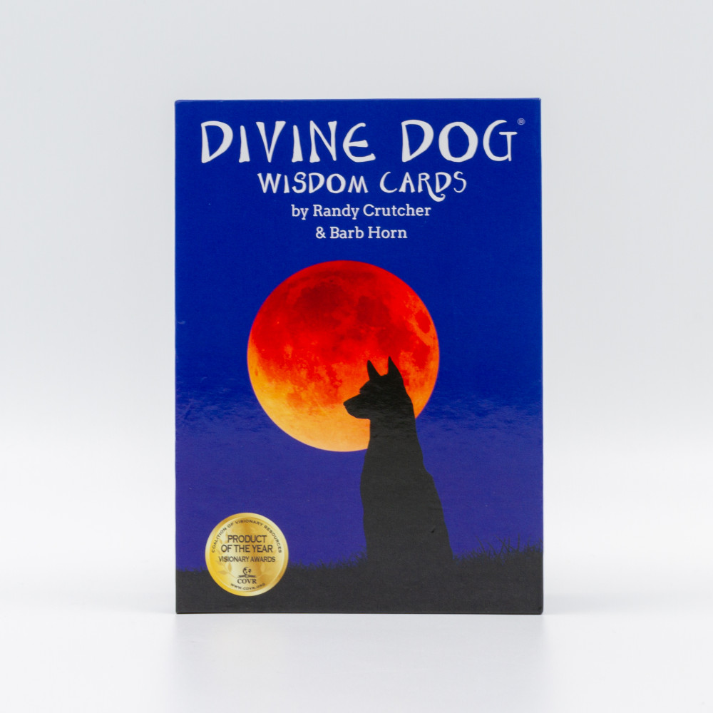 Produktbild för Divine Dog Wisdom Cards (2Nd Edition) **Co