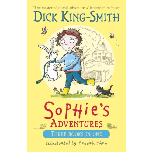 Walker Books Ltd Sophie's Adventures (häftad, eng)