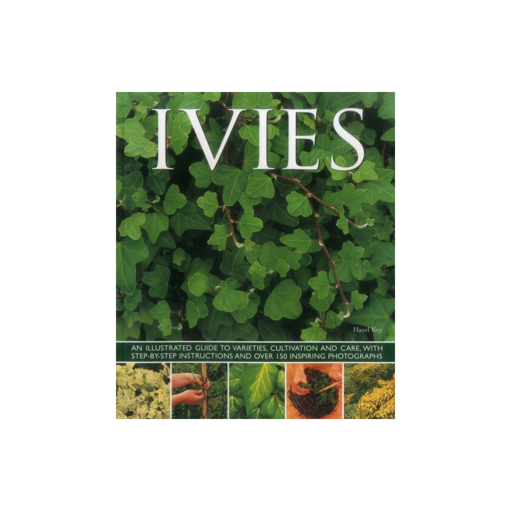 Produktbild för Ivies (häftad, eng)