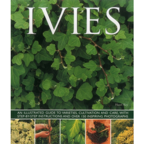 Anness publishing Ivies (häftad, eng)