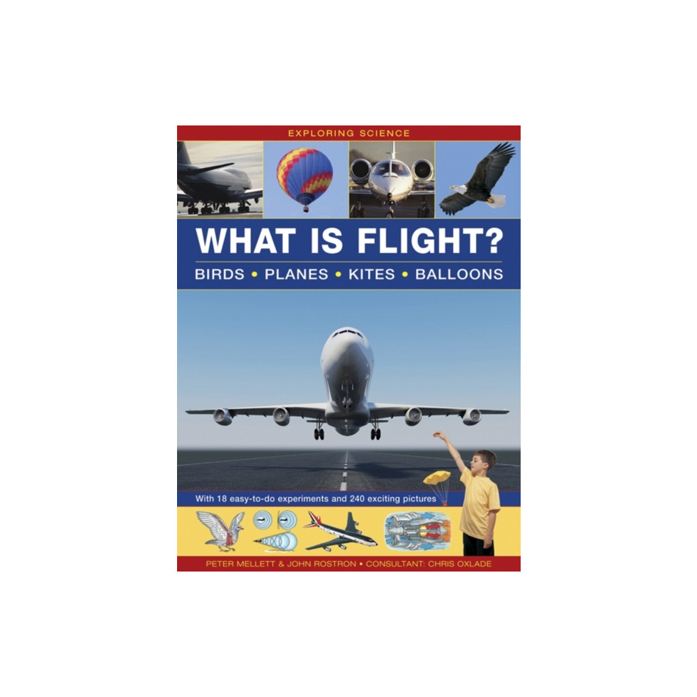 Produktbild för Exploring Science: What Is Flight? (inbunden, eng)