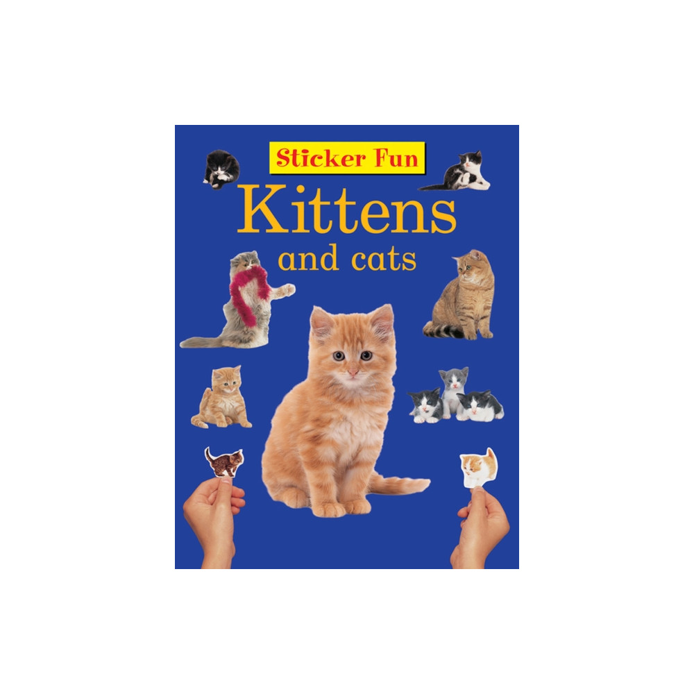 Produktbild för Sticker Fun - Kittens & Cats (häftad, eng)