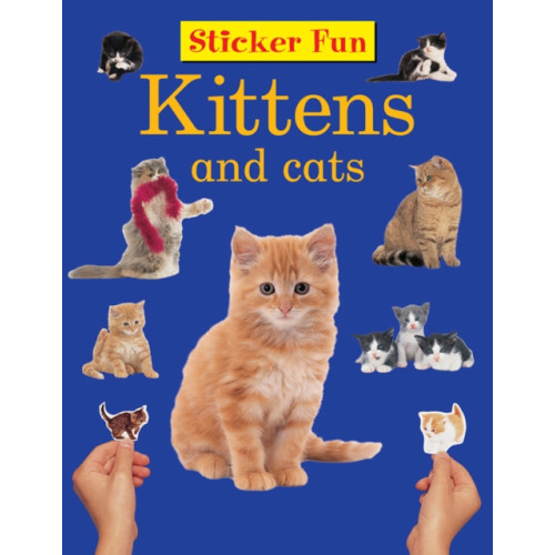 Anness publishing Sticker Fun - Kittens & Cats (häftad, eng)