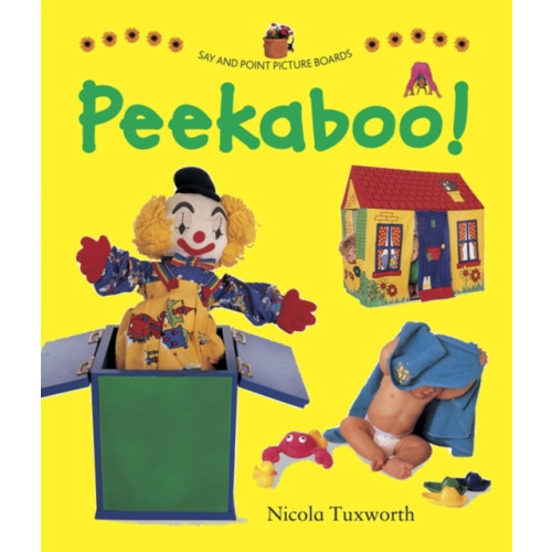 Anness publishing Say and Point Picture Boards: Peekaboo! (bok, board book, eng)