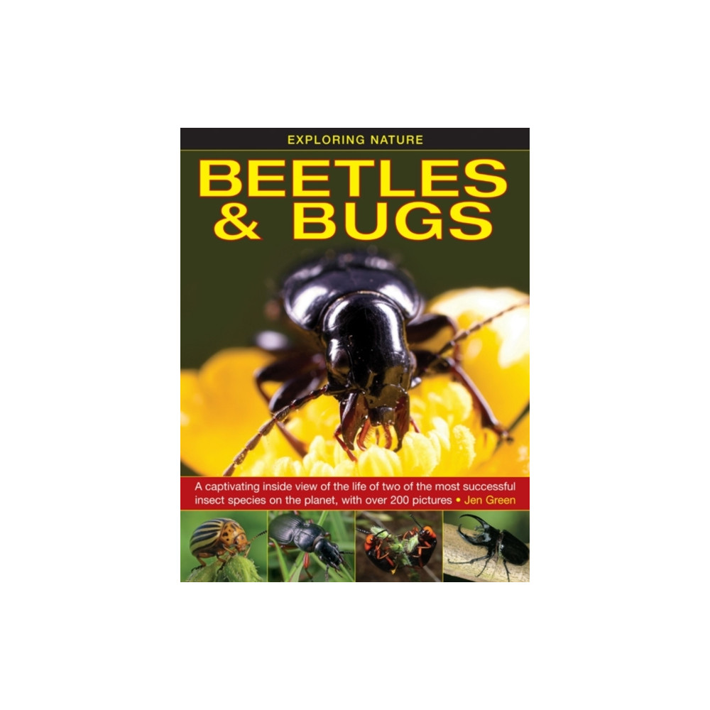 Produktbild för Exploring Nature: Beetles & Bugs (inbunden, eng)