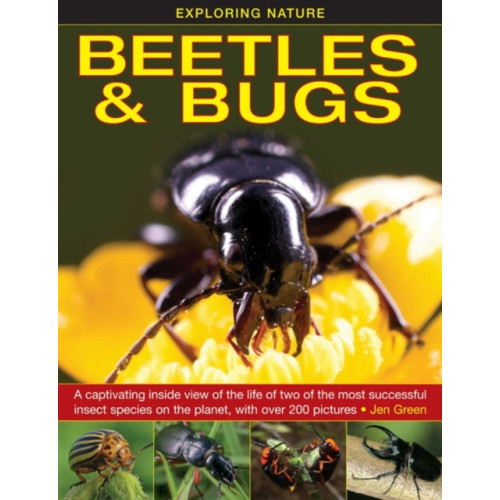 Anness publishing Exploring Nature: Beetles & Bugs (inbunden, eng)