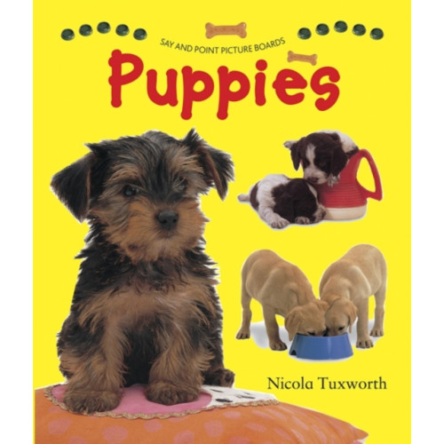 Anness publishing Say and Point Picture Boards: Puppies (bok, board book, eng)