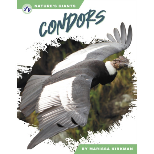 Condors (inbunden, eng)