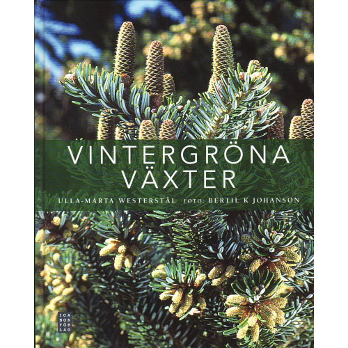 Ica Bokförlag Vintergröna växter (inbunden)