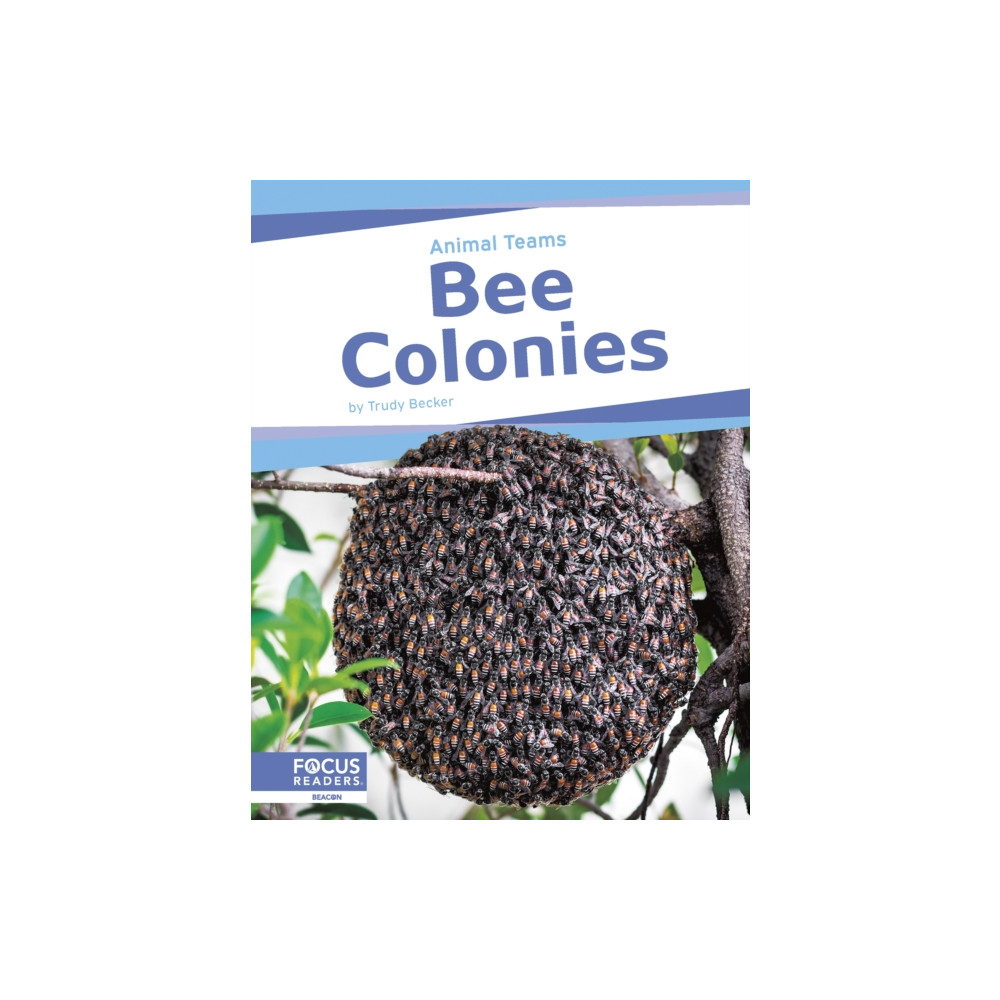 Produktbild för Bee Colonies (häftad, eng)