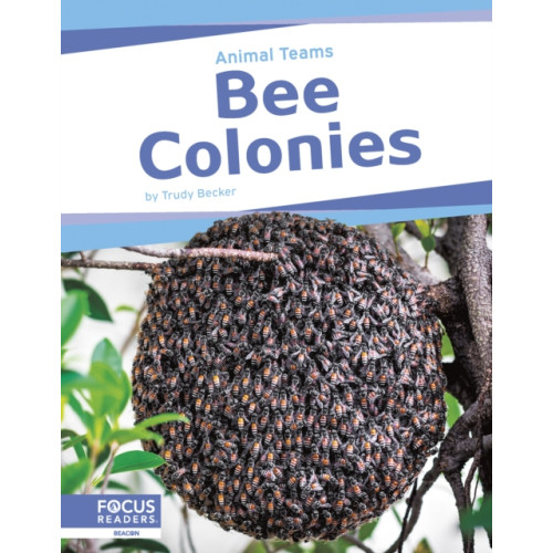 North Star Editions Bee Colonies (häftad, eng)