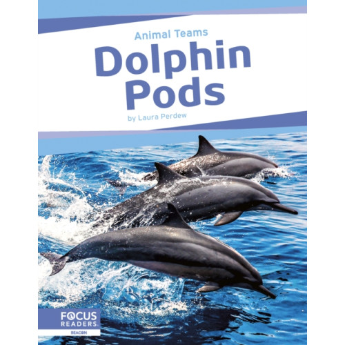 North Star Editions Dolphin Pods (häftad, eng)