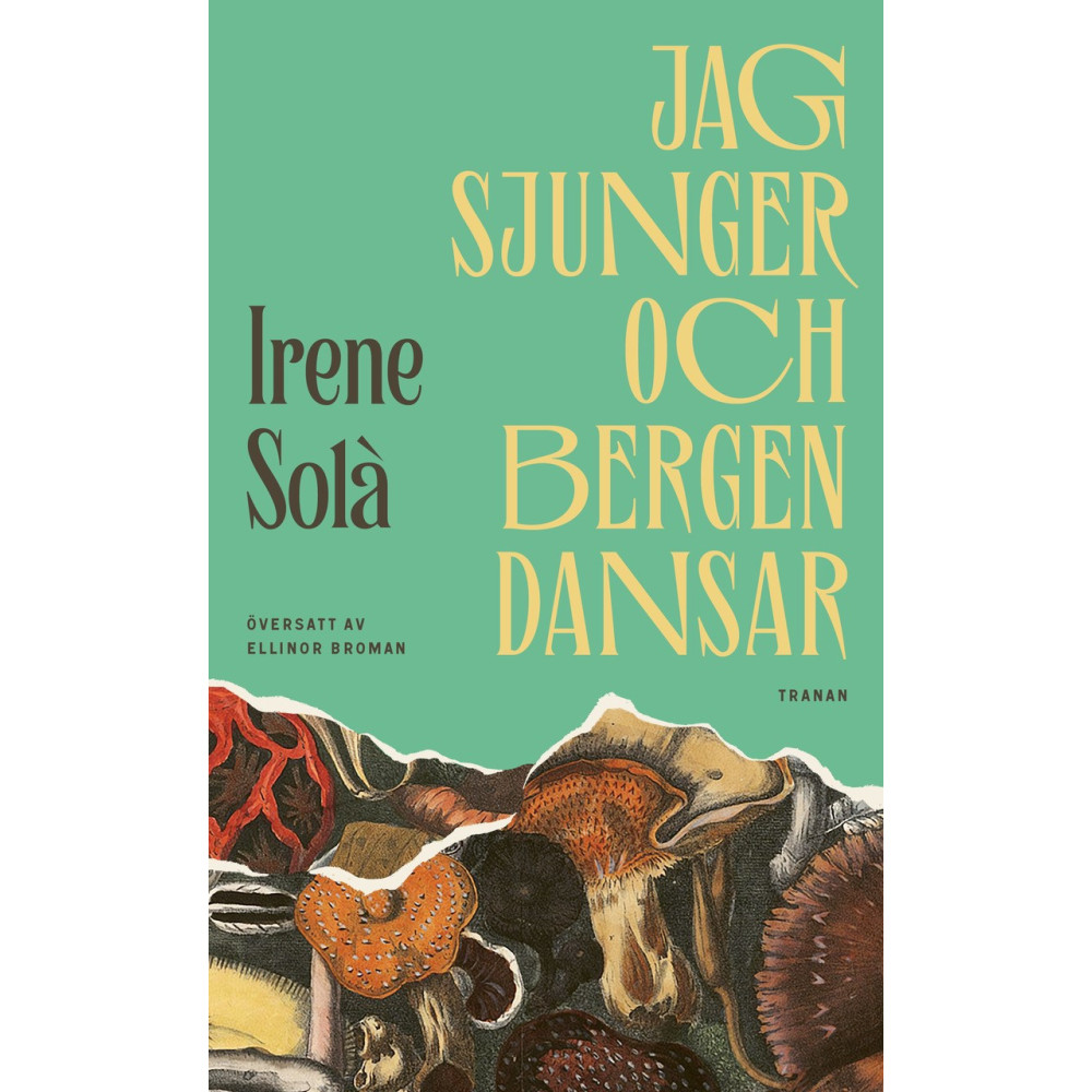 Produktbild för Jag sjunger och bergen dansar (pocket)