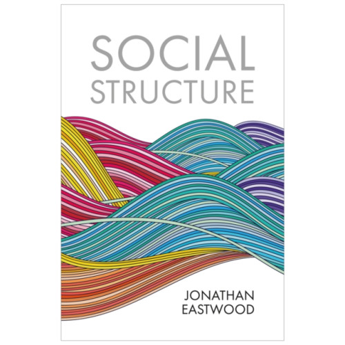 John Wiley And Sons Ltd Social Structure (häftad, eng)