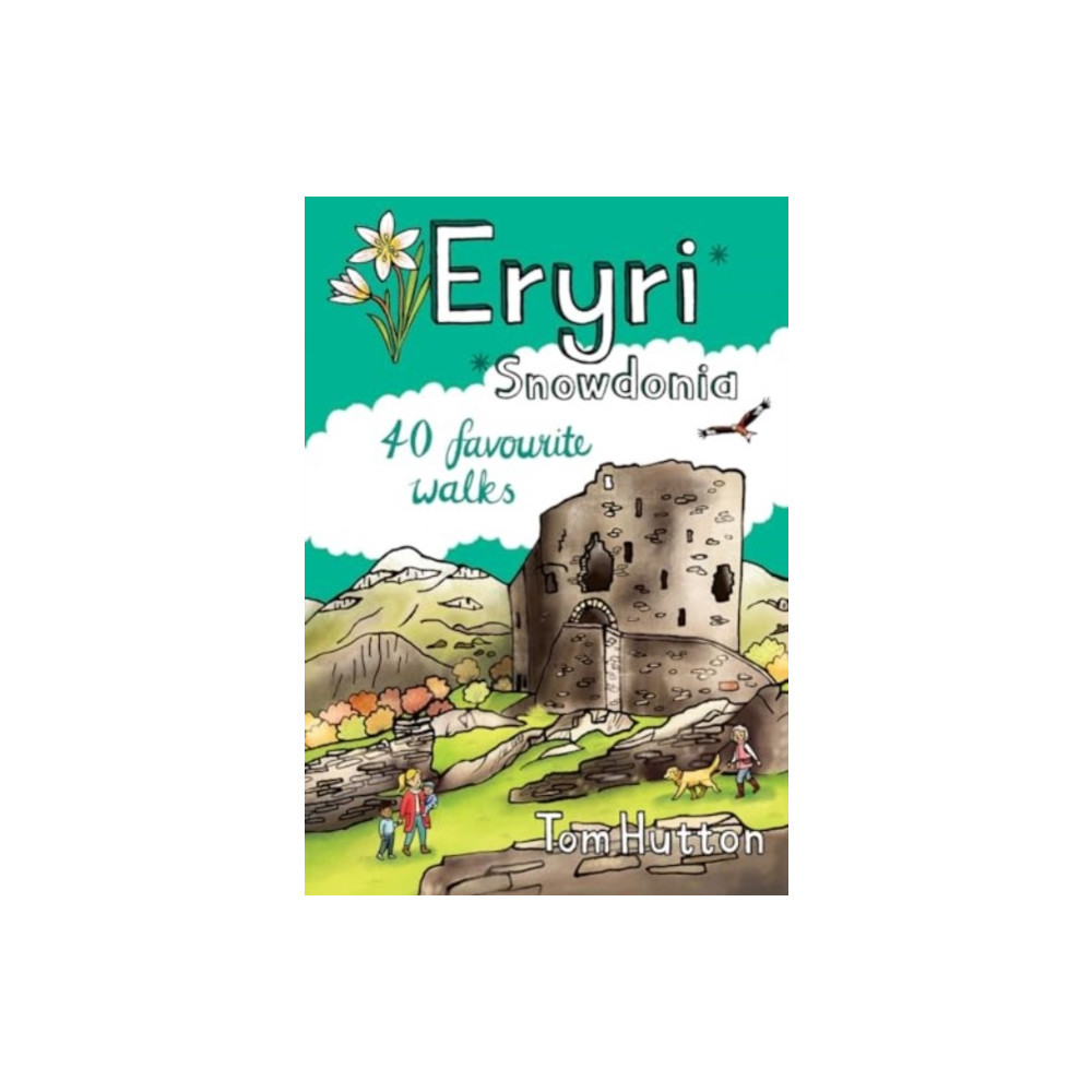 Produktbild för Eryri / Snowdonia Pocket Mountains (häftad, eng)