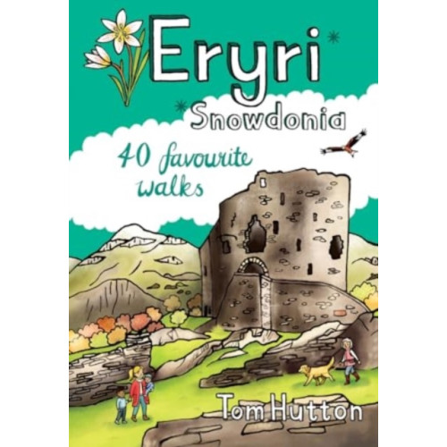 Pocket Mountains Ltd Eryri / Snowdonia Pocket Mountains (häftad, eng)