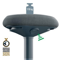 Produktbild för Ståpall LEITZ Ergo mörkgrå