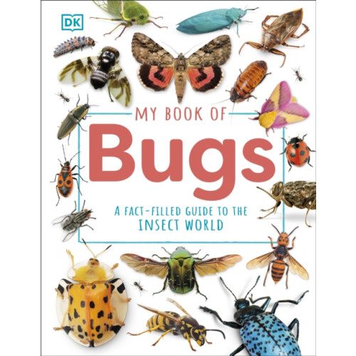 Dorling Kindersley Ltd My Book of Bugs (inbunden, eng)