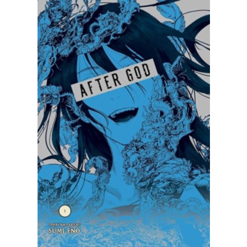 Viz Media, Subs. of Shogakukan Inc After God, Vol. 1 (häftad, eng)
