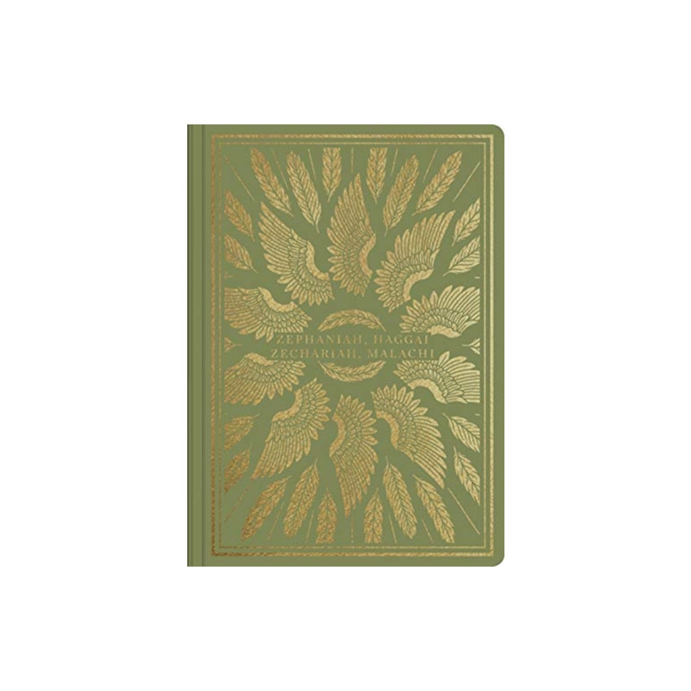 Produktbild för ESV Illuminated Scripture Journal (häftad, eng)