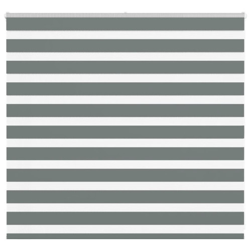 vidaXL Rullgardin zebra mörkgrå 165x100 cm tyg bredd 160,9cm polyester