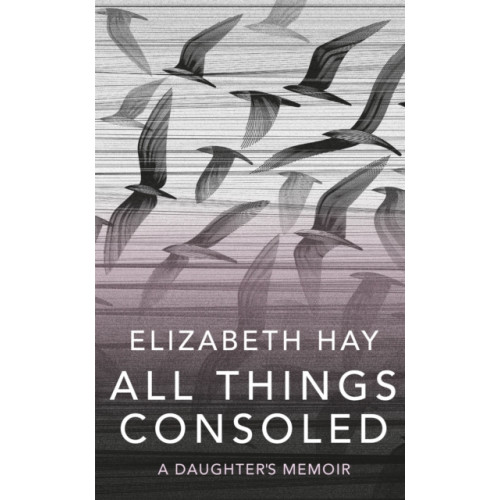 Quercus Publishing All Things Consoled (häftad, eng)
