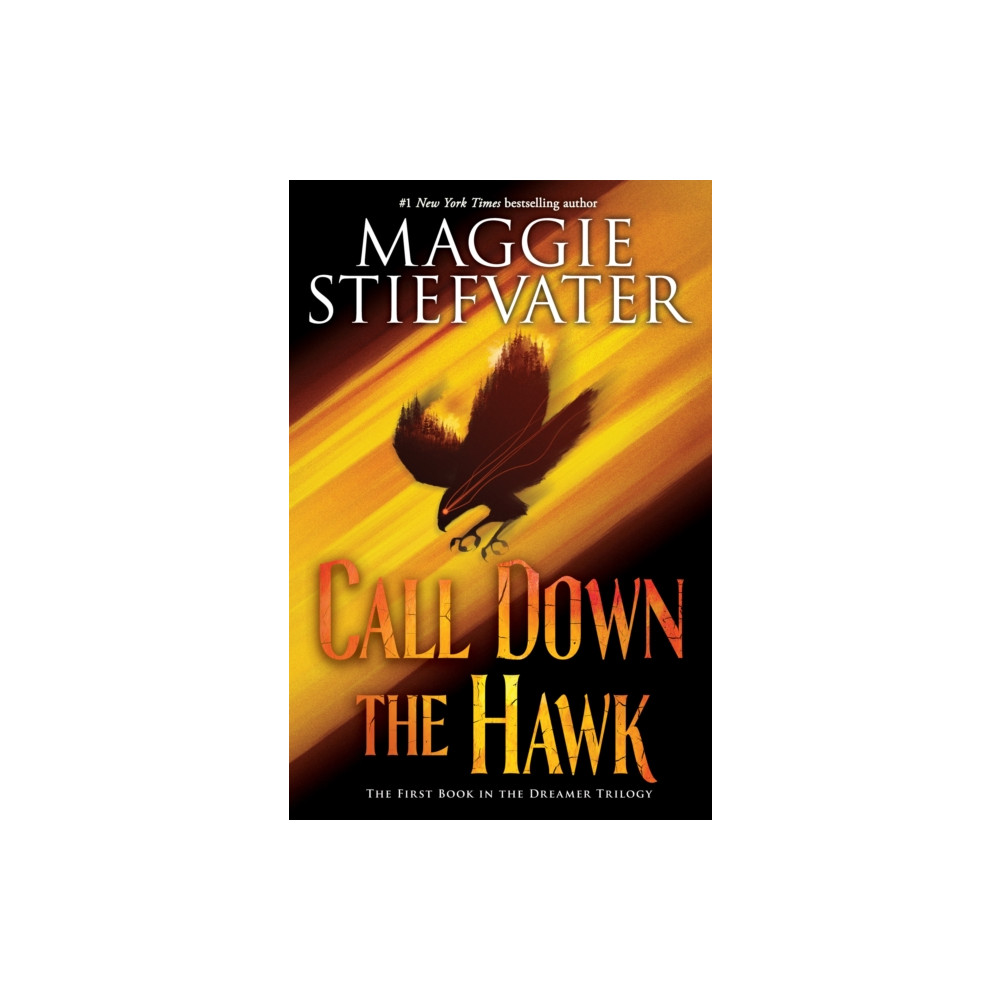 Produktbild för Call Down the Hawk (The Dreamer Trilogy, Book 1) (häftad, eng)