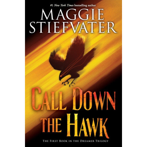Not Stated Call Down the Hawk (The Dreamer Trilogy, Book 1) (häftad, eng)