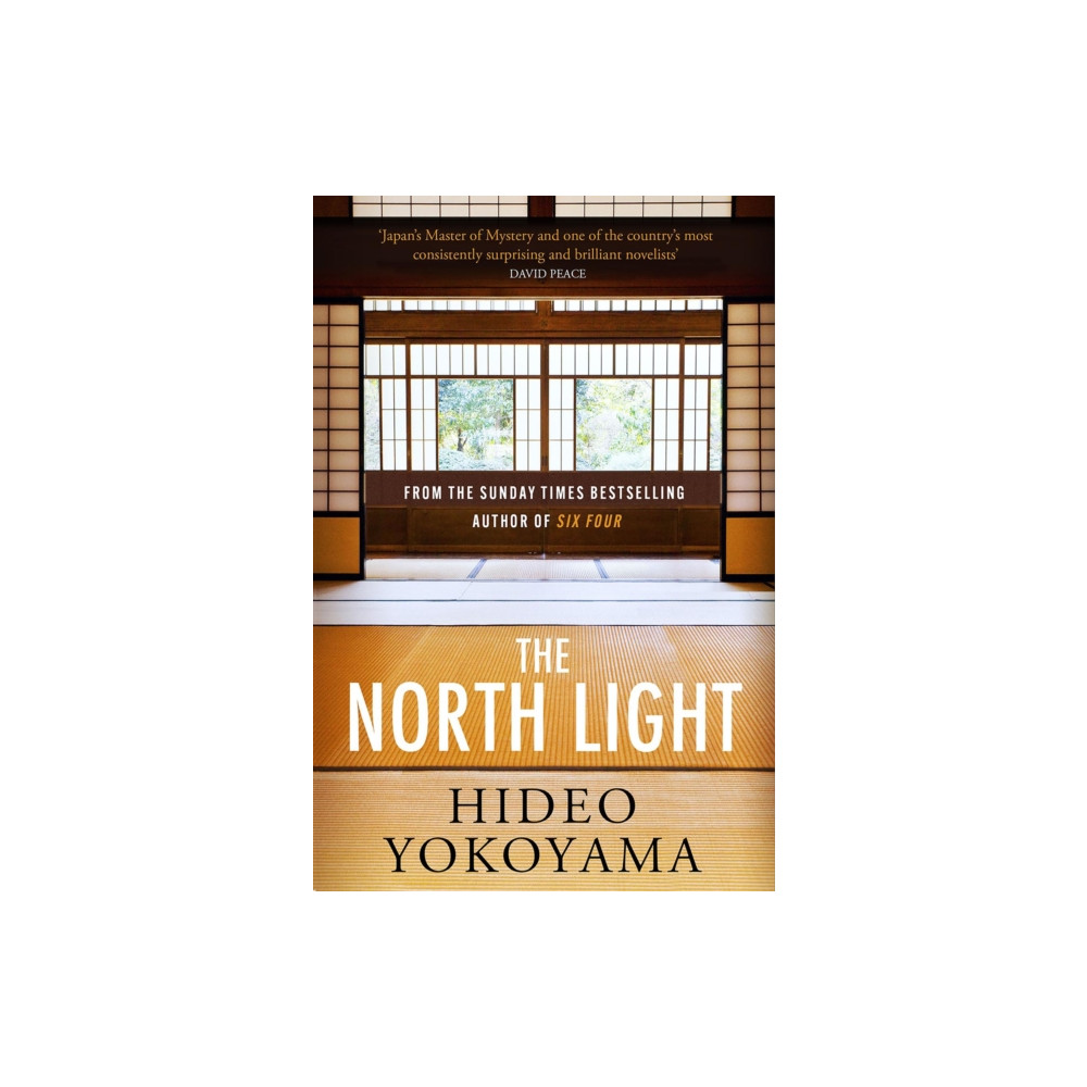 Produktbild för The North Light (häftad, eng)