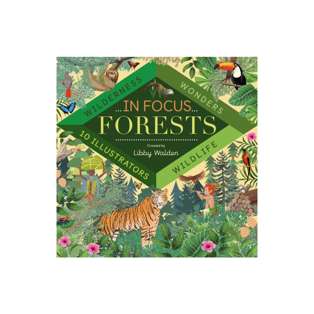 Produktbild för In Focus: Forests (inbunden, eng)